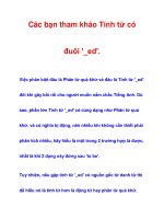 Tính từ có đuôi ''''_ed''''. ppt