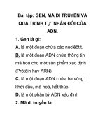 Bài tập: GEN, MÃ DI TRUYỀN VÀ QUÁ TRÌNH TỰ NHÂN ĐÔI CỦA ADN. pptx