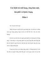 Các bệnh tai mũi họng, răng hàm mặt, tim phổi và bệnh ở bụng Phần - 4 docx