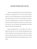 Giải Phẫu Nối Động Mạch Vành Tim pot