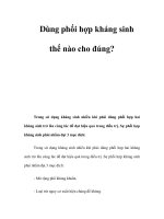 Dùng phối hợp kháng sinh thế nào cho đúng? pps