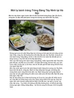 Mới lạ bánh tráng Trảng Bàng Tây Ninh tại Hà Nội pptx