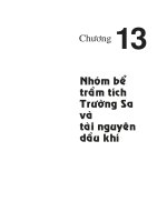 Địa chất và tài nguyên dầu khí Việt Nam - Chương 13 doc