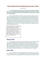 Phòng chống đái tháo đường bằng liệu pháp tự nhiên potx