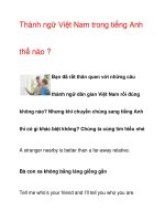 Thành ngữ Việt Nam trong tiếng Anh thế nào ? pdf