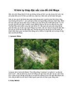 10 kim tự tháp đặc sắc của đế chế Maya doc