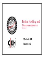 Ethical hacking and countermeasures - phần 40 docx