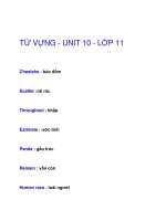 TỪ VỰNG - UNIT 10 - LỚP 11 pot