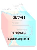 THỦY ĐỘNG HỌC CỦA BIỂN VÀ ĐẠI DƯƠNG potx