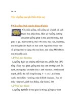 Một số giống mai phổ biến hiện nay ppt