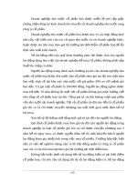 Luận văn tốt nghiệp : Thực hiện cổ phần hóa doanh nghiệp nhà nước tại hà nội phần 8 doc