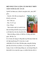 BIỆN PHÁP TĂNG LƯỢNG CỎ CHO PHÁT TRIỂN CHĂN NUÔI GIA SÚC ĂN CỎ Tp Hồ Chí Minh pot