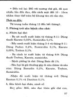 Kỹ Thuật Trồng Cây Đặc Sản Hiệu Quả Kinh Tế Cao - Nguyễn Đình Thiêm phần 9 pot