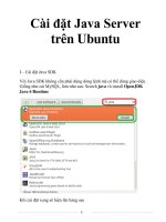 Cài đặt Java Server trên Ubuntu potx