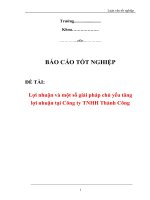 Báo cáo tốt nghiệp: Lợi nhuận và một số giải pháp chủ yếu tăng lợi nhuận tại công ty TNHH Thành Công ppsx