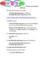 Tổ chức của hệ thống thần kinh docx