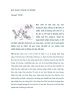 RAU SAM, CÂY RAU VỊ THUỐC doc