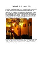 Ngắm cây lá đỏ ở quán xì tin pdf