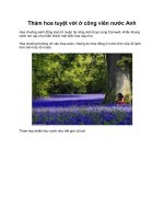 Thảm hoa tuyệt vời ở công viên nước Anh pot