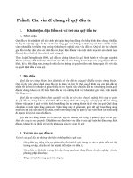 Các vấn đề chung về quỹ đầu tư pot