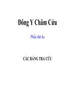 Đông Y Châm Cứu - CÁC BẢNG TRA CỨU pptx
