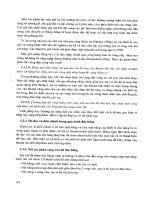 công nghệ hiện đại trong xây dựng cầu bê tông cốt thép phần 6 pps