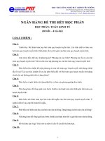 Đề thi toán kinh tế pot