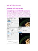 Thiết Kế Bức Tranh Vua Sử Tử (phần 2) ppt