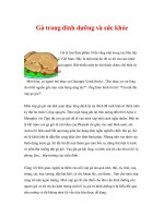 Gà trong dinh dưỡng và sức khỏe docx