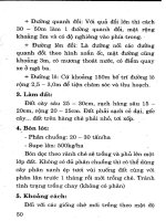 Kỹ Thuật Trồng Cây Đặc Sản Hiệu Quả Kinh Tế Cao - Nguyễn Đình Thiêm phần 8 ppsx