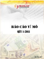 BÁO CÁO VĨ MÔ QÚY 1-2011 potx