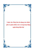 Luận văn Đảm bảo tín dụng của chính phủ và giảm thiểu rủi ro trong hoạt động ngân hàng hiện đại