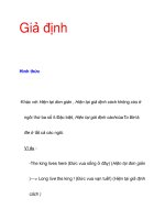 Giả định Hình thức ppt