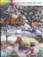 Kỹ Thuật Trồng Cây Ăn Quả Hiệu Quả Cao (Tập 1) - Nguyễn Đình Thiêm phần 1 ppsx