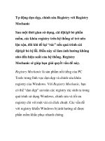 Tự động dọn dẹp, chỉnh sửa Registry với Registry Mechanic pdf