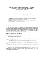Kết quả đo độ võng và đánh giá khả năng chống nứt lớp kết cấu bê tông nhựa có cốt tăng cường ppt