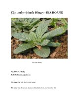 Cây thuốc vị thuốc Đông y - ĐỊA HOÀNG pdf