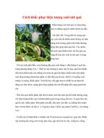 Cách khắc phục hiện tượng xoài nứt quả pptx