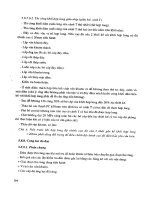 công nghệ hiện đại trong xây dựng cầu bê tông cốt thép phần 8 potx