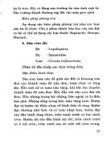 Kỹ Thuật Trồng Điều Năng Suất Cao - Lê Văn Thứng phần 8 pptx