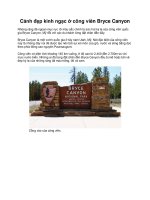 Cảnh đẹp kinh ngạc ở công viên Bryce Canyon docx