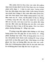 Kỹ Thuật Trồng Điều Năng Suất Cao - Lê Văn Thứng phần 6 docx