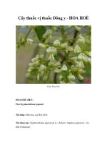Cây thuốc vị thuốc Đông y - HOA HOÈ pdf
