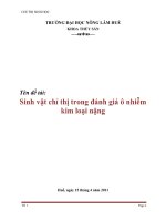 Tên đề tài: Sinh vật chỉ thị trong đánh giá ô nhiễm kim loại nặng ppt