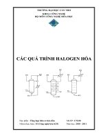 Các quá trình Halogen hóa pdf
