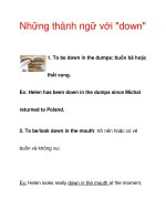 Những thành ngữ với 