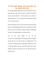 Cố vấn nghề nghiệp Kỹ năng thiết yếu của người lãnh đạo docx