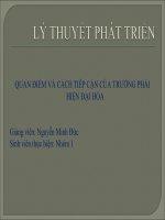 BÁO CÁO: QUAN ĐIỂM VÀ CÁCH TIẾP CẬN CỦA TRƯỜNG PHÁI HIỆN ĐẠI HÓA docx