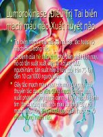 Ứng dụng của enzym Lumbrokinase trong điều trị tai biến mạch máu não. ppt