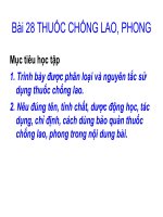 Thuốc chống lao, phong pot